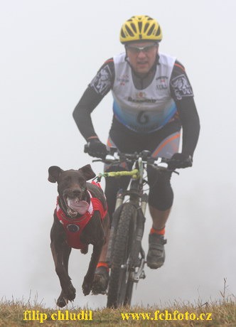 Tri studne podzim 08 - 349.jpg